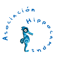 Asociación Hippocampus